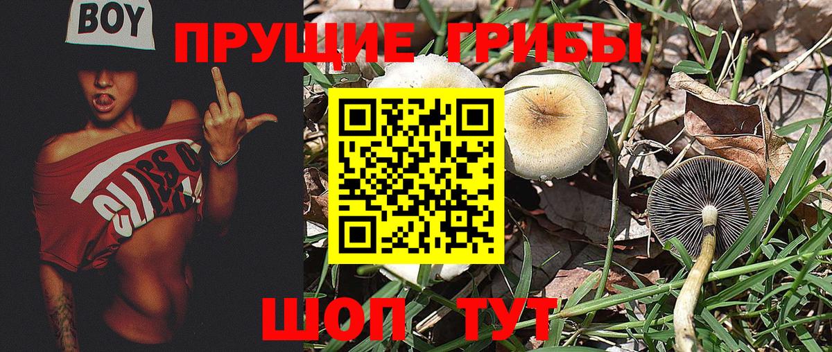 Псилоцибиновые грибы Magic Shrooms Димитровград
