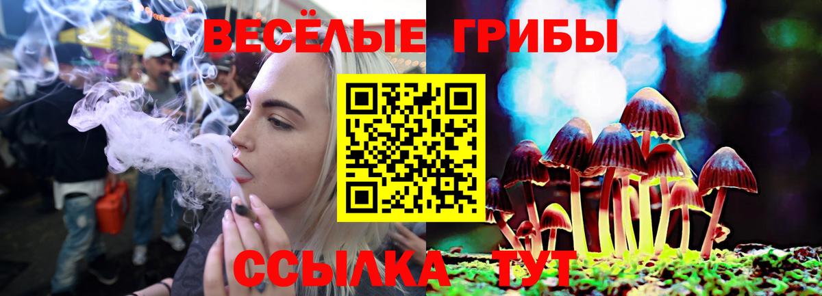 Галлюциногенные грибы MAGIC MUSHROOMS  Вход с VPN  что такое   Димитровград 