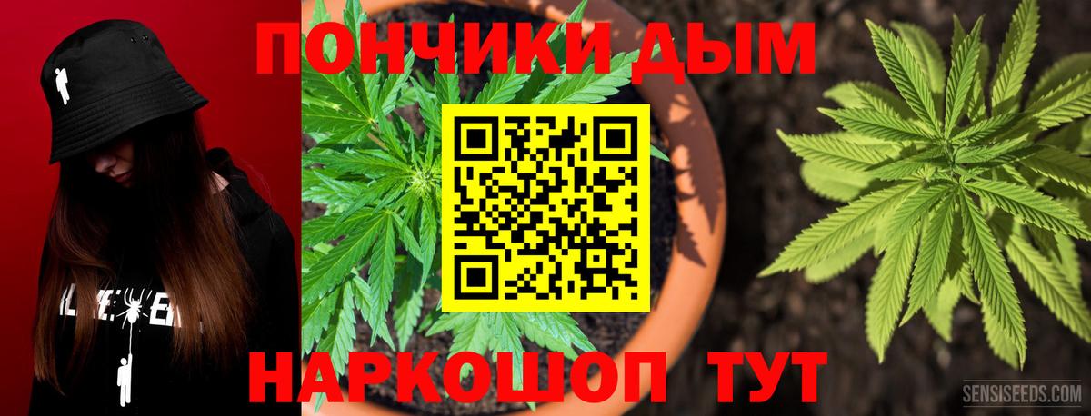 Бошки марихуана Bruce Banner  Бошки марихуана Ganja  Марихуана конопля  Вход с VPN  Димитровград  МАРИХУАНА Bruce Banner 